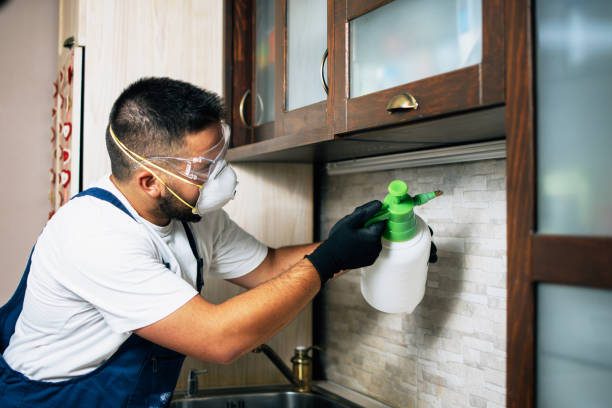 Best Local Pest Control Services  in Cedar Knolls, NJ
