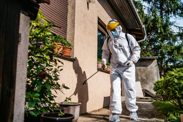 Insect Control in Cedar Knolls, NJ