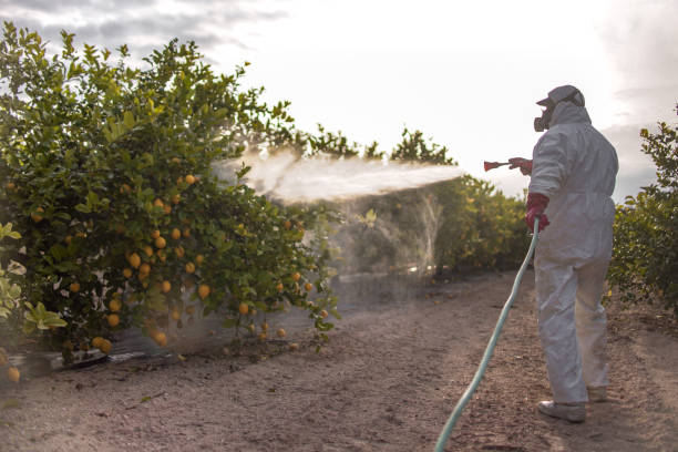 Professional Pest Control in Cedar Knolls, NJ