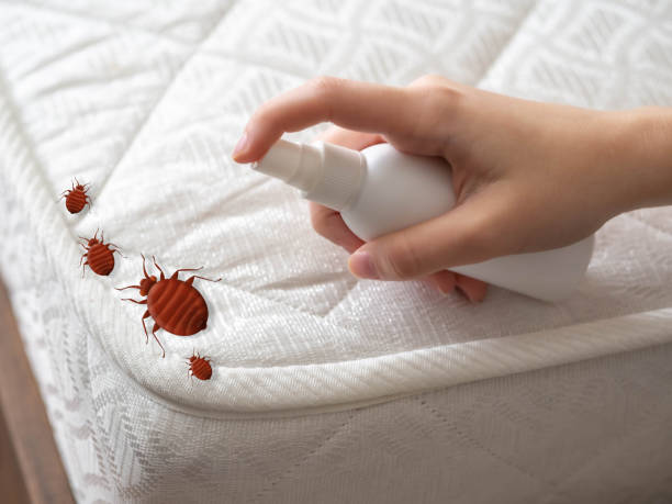 Best Pest Inspection Near Me  in Cedar Knolls, NJ