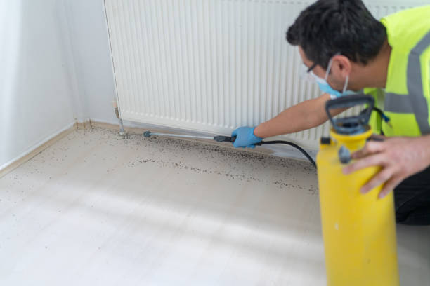 Best Ant Control Services  in Cedar Knolls, NJ