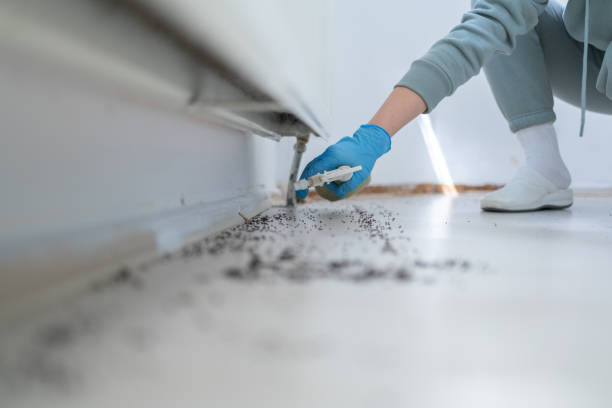 Best Pest Prevention Services  in Cedar Knolls, NJ